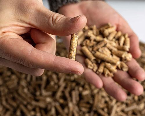 Biomass Agro Waste Pellet