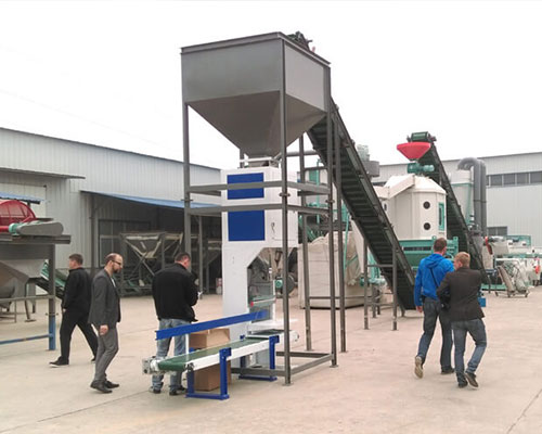 Biomass Pellets Making Machine